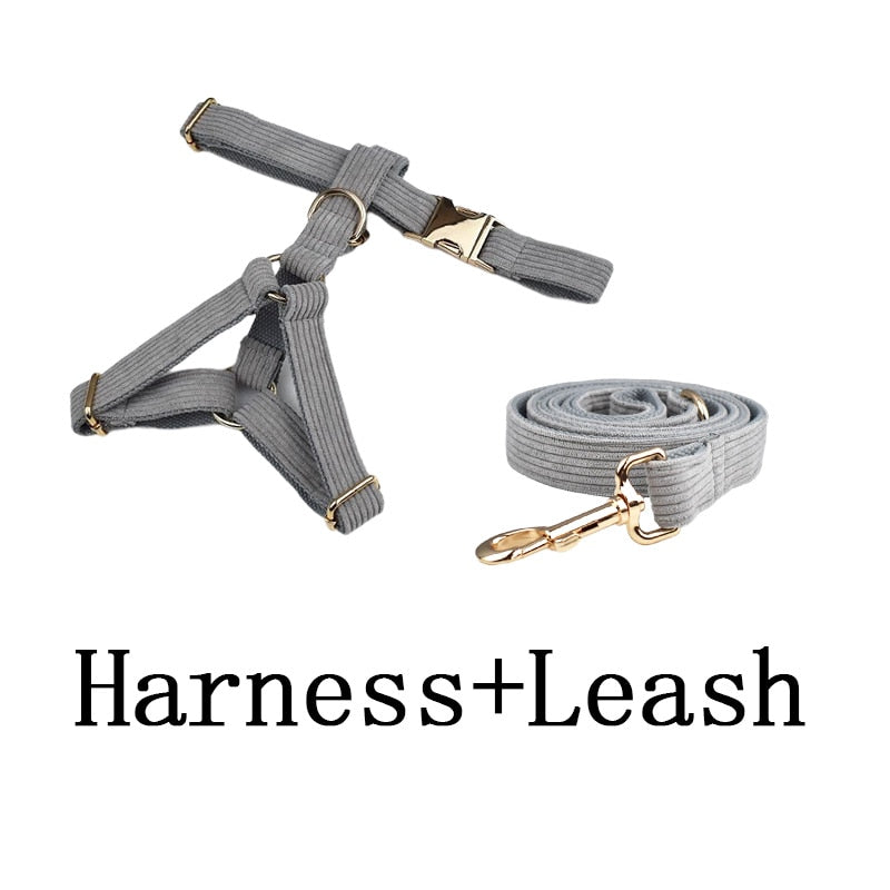 Light Grey Corduroy Dog Collar And Leash With Custom Engraved Nameplate GROOMY