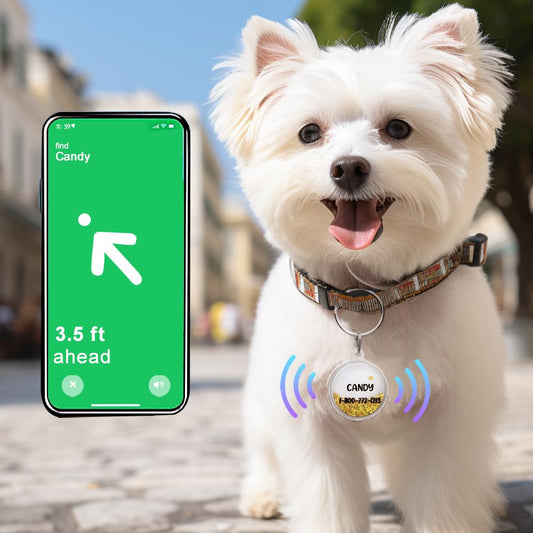 Custom Name Air Tag Holder Quicksand Safe Pet Gift for Pet Owner