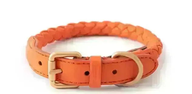 Tow Rope & Dog Collar GROOMY