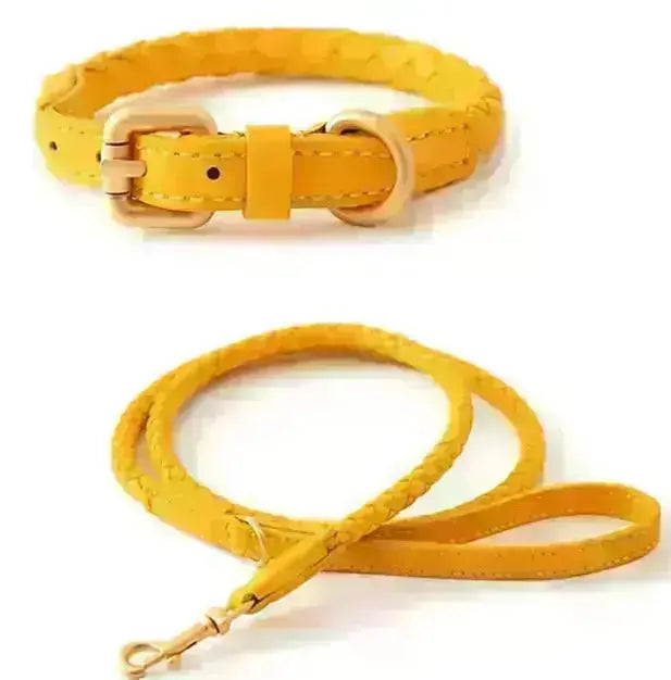 Tow Rope & Dog Collar GROOMY