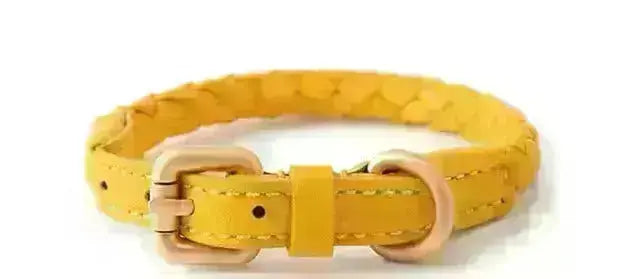 Tow Rope & Dog Collar GROOMY