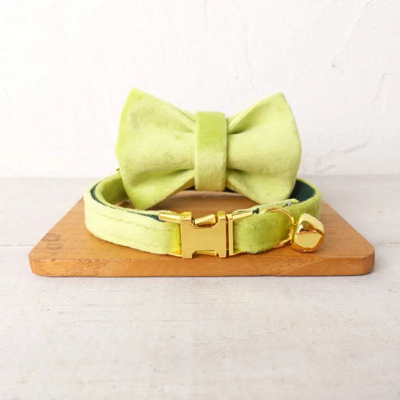 Velvet Cat Collar w/ Bowtie - Engrave Your Pet's ID GROOMY