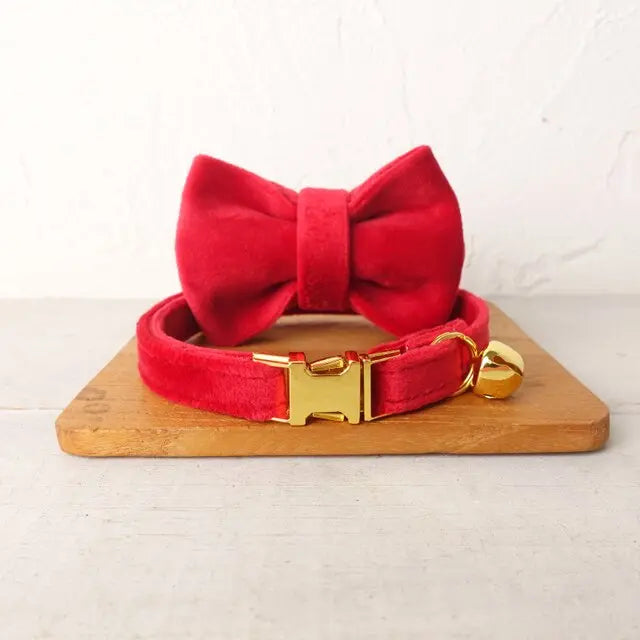 Velvet Cat Collar w/ Bowtie - Engrave Your Pet's ID GROOMY