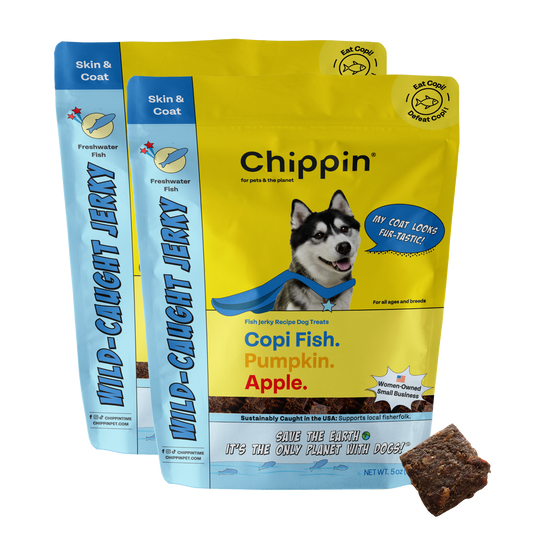Wild-Caught Fish Jerky Dog Treats, 2-pack