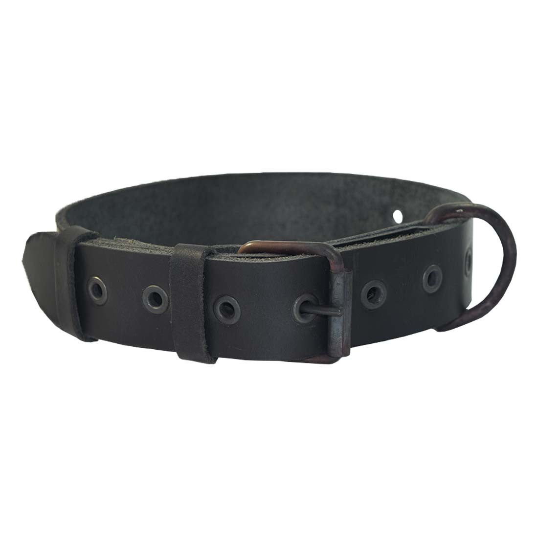 Thick Leather Dog Collar