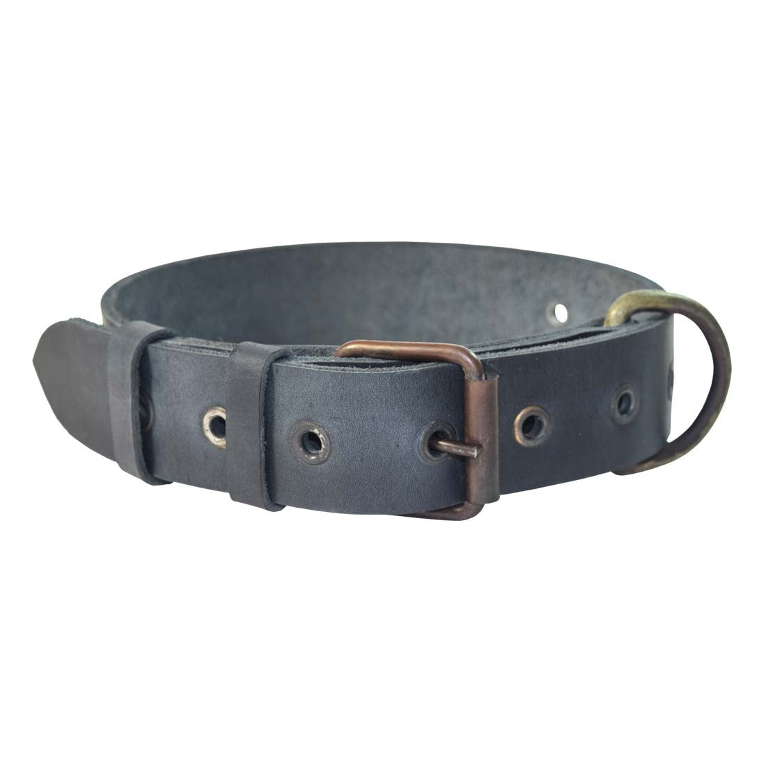 Thick Leather Dog Collar