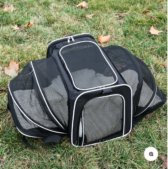 Portable Expandable Foldable Breathable Designer Pet Carrier Bag